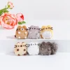 Pusheen Plush & Squisheens>I Love Kitties Plush Collectors Set