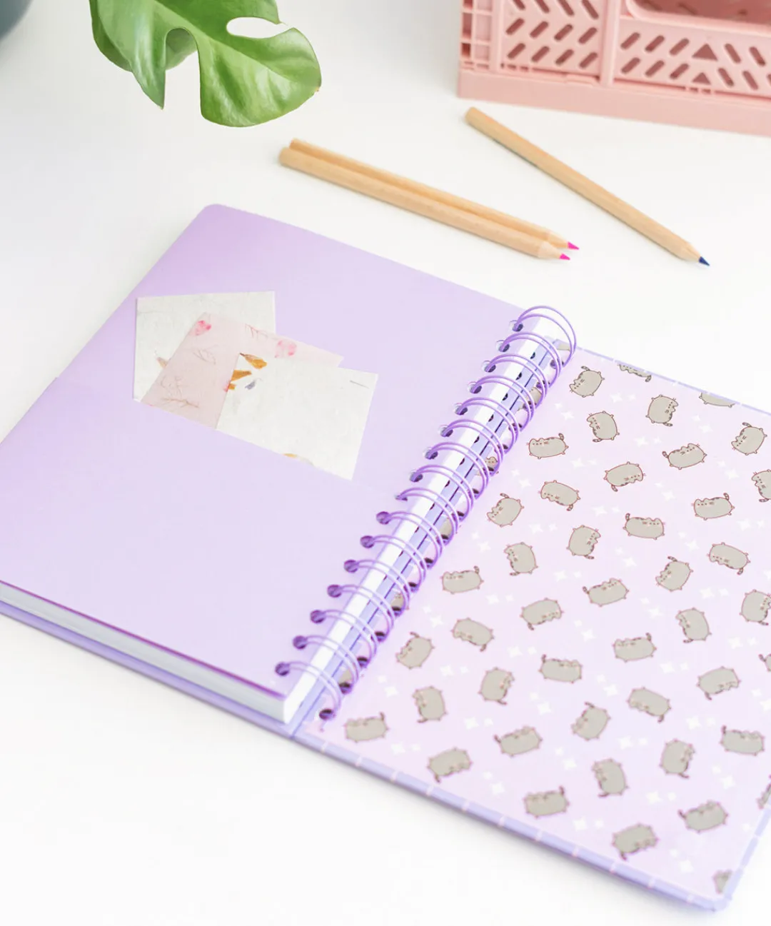 Pusheen Office & Tech|Crafts & Games>Naptime Notebook